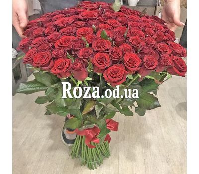 101 red rose 80 cm 8