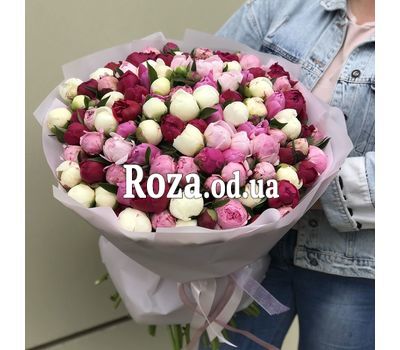 101 пион 1