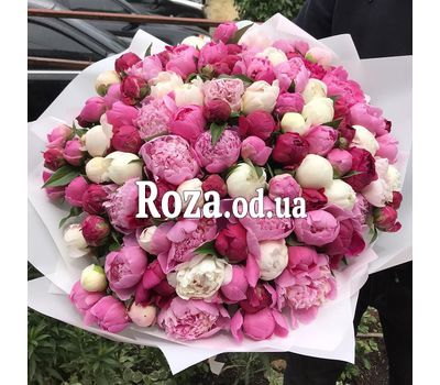 101 пион 2