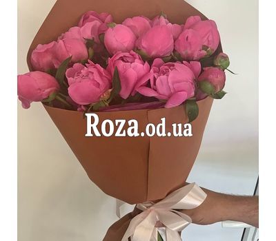 15 бордовых пионов 1