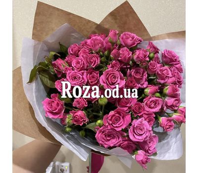 15 bush roses 7