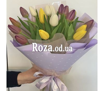 15 tulips 5