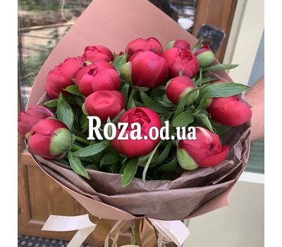 17 бордовых пионов 1