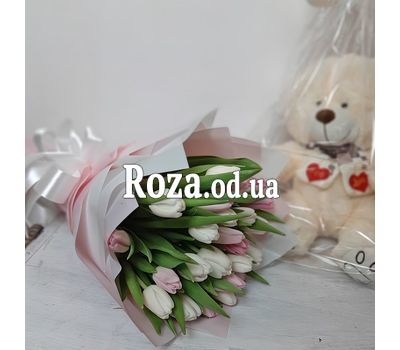 19 tulips 1