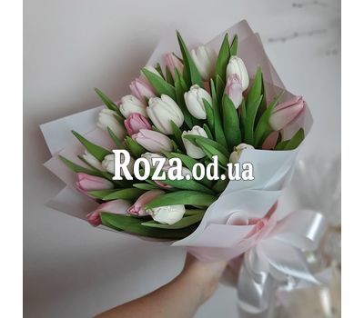 19 tulips 3