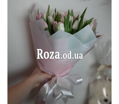 19 tulips 4