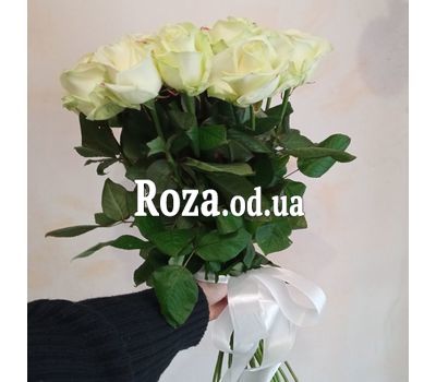 25 white roses in a bouquet 11
