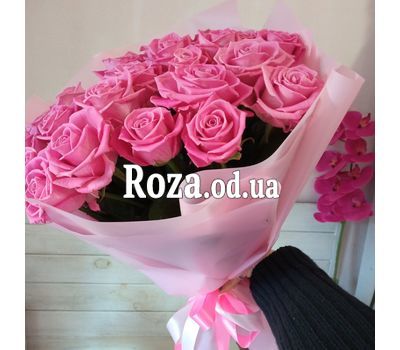 25 pink roses 1
