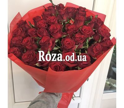 33 красные розы 1