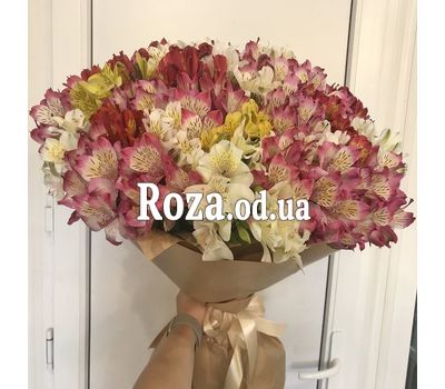 51 альстромерія 7
