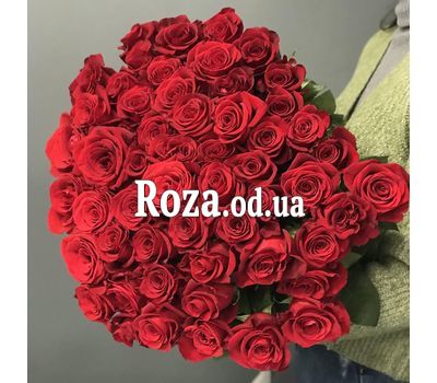 51 импортная роза 1 м 5