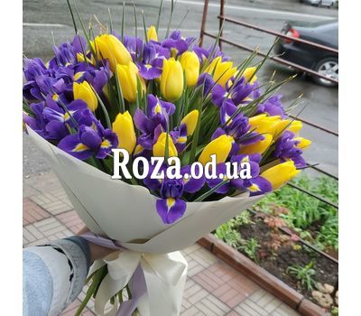 51 ирис и желтый тюльпан 1