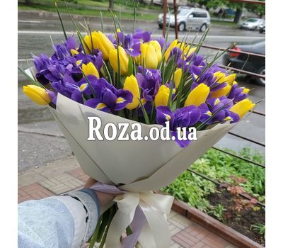 51 ирис и желтый тюльпан 2