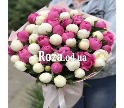 51 пион 1