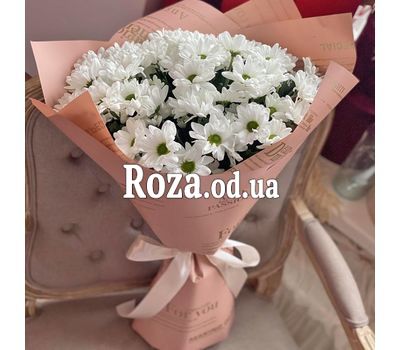 11 chamomile chrysanthemums 6