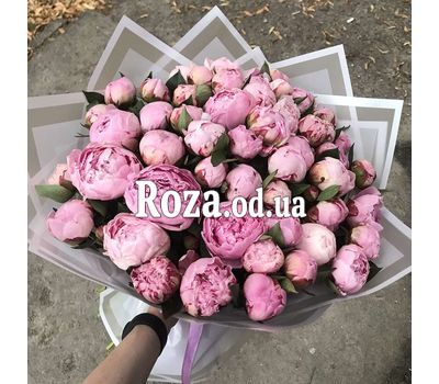 Bouquet of 51 peonies 2