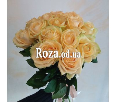 Кремовые розы 11