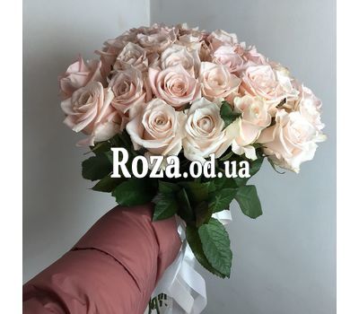 Кремовые розы 12
