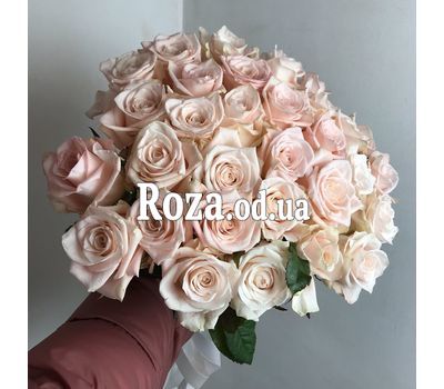 Кремовые розы 13