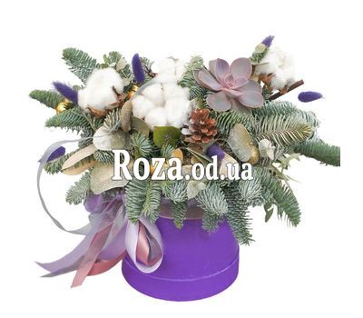 Snowy kingdom