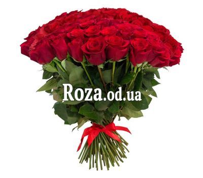 101 red rose 50 cm