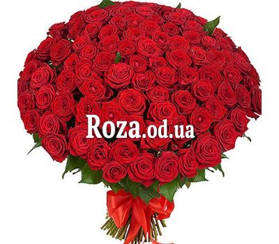 101 red rose 60 cm