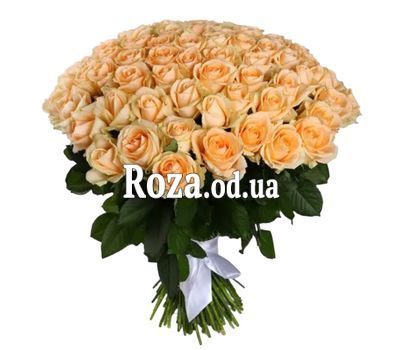 101 cream rose 60 cm
