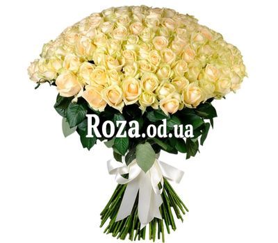 101 cream rose 70 cm
