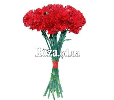 11 red carnations