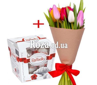 11 тюльпанов и Raffaello