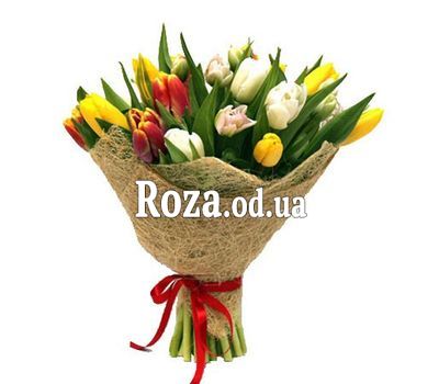 15 tulips