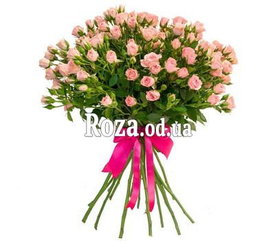 17 кущових троянд