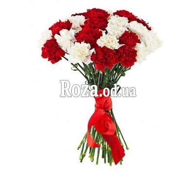 25 бело-красных гвоздик