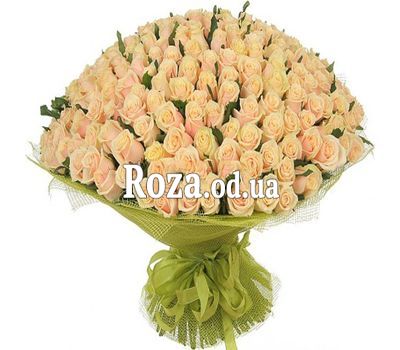 251 кремова троянда 60 см
