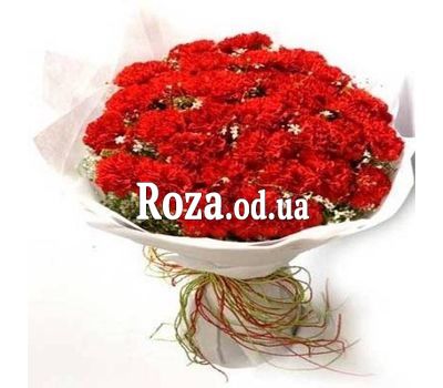 51 красная гвоздика