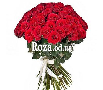 51 червона троянда 70 см