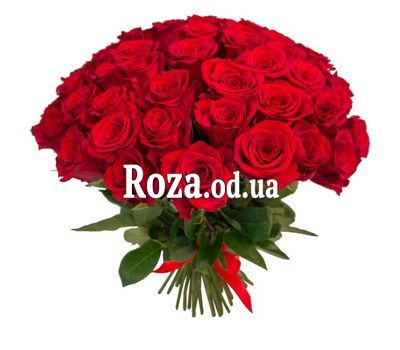 Bouquet of 55 roses