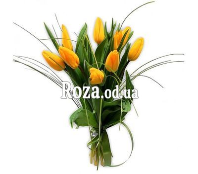 9 yellow tulips
