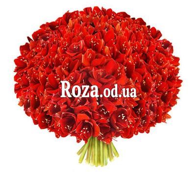 Великий букет амарилісів