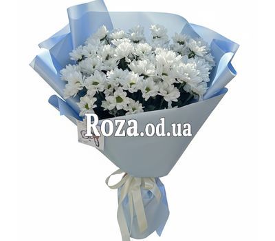 Bouquet of 11 chamomiles
