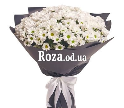 Букет 19 ромашек
