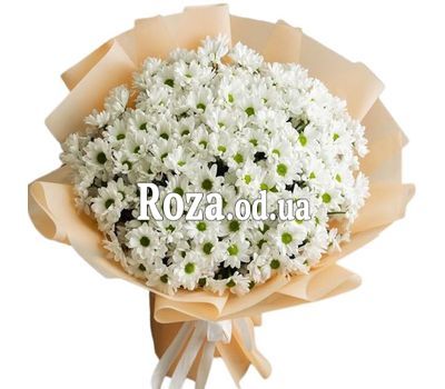 Букет из 21 ромашки