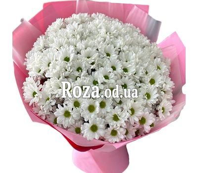 Букет из 25 ромашек