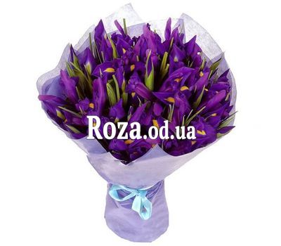 Букет із 25 ірисів