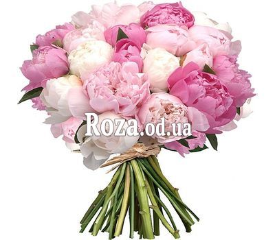 Букет из 35 пионов