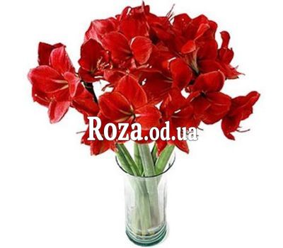 Букет із 7 амарилісів