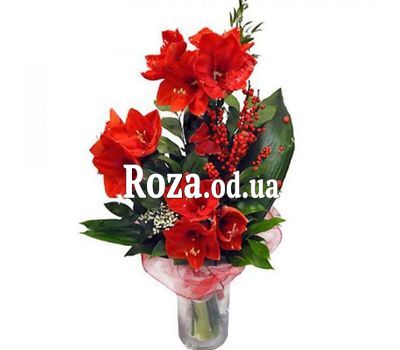 Bouquet of Amaryllis