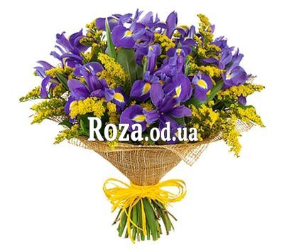 Букет из ирисов и мимозы