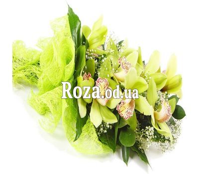 Bouquet of orchids