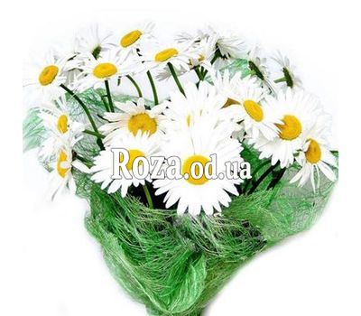Букет из 25 ромашек